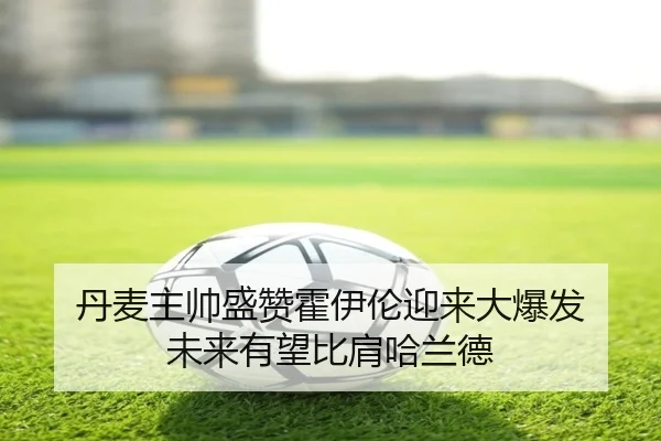 丹麦主帅盛赞霍伊伦迎来大爆发 未来有望比肩哈兰德